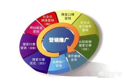 如何進(jìn)入互聯(lián)網(wǎng)行業(yè) 聚焦技術(shù)開發(fā)與銷售雙路徑