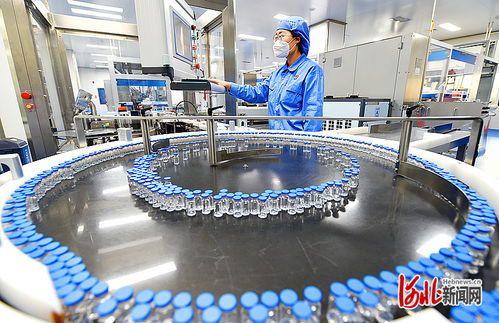 衡水新聞網 技術驅動下的軟件開發與市場銷售新篇章